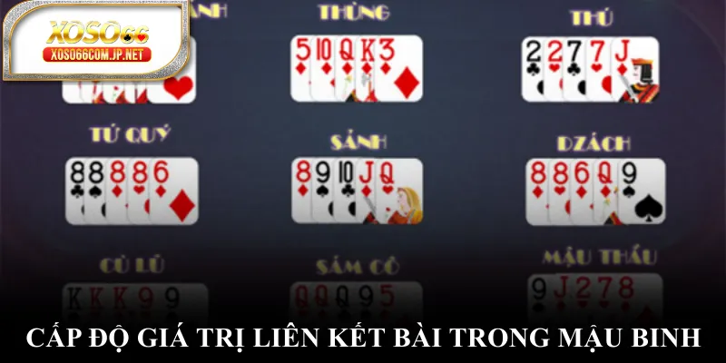 Cấp độ giá trị liên kết bài trong mậu binh
