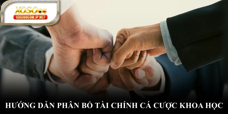 Hướng dẫn phân bổ tài chính cá cược khoa học Hướng dẫn phân bổ tài chính cá cược khoa học