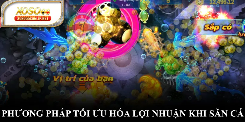 Phương pháp tối ưu hóa lợi nhuận khi săn cá