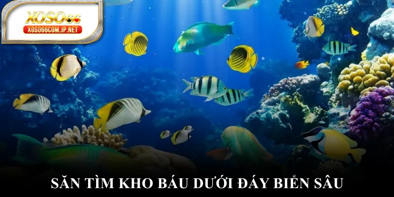 Săn tìm kho báu dưới đáy biển sâu Săn tìm kho báu dưới đáy biển sâu